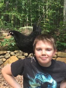 boy with a chicken