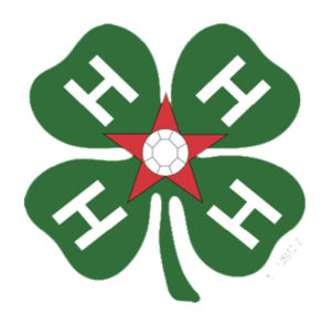 4-H All-Stars logo of a clover and a star