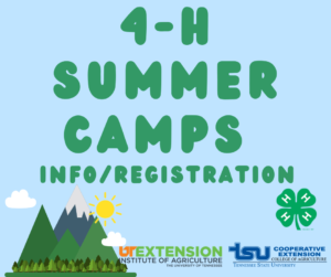 4-H summer camps information and registration