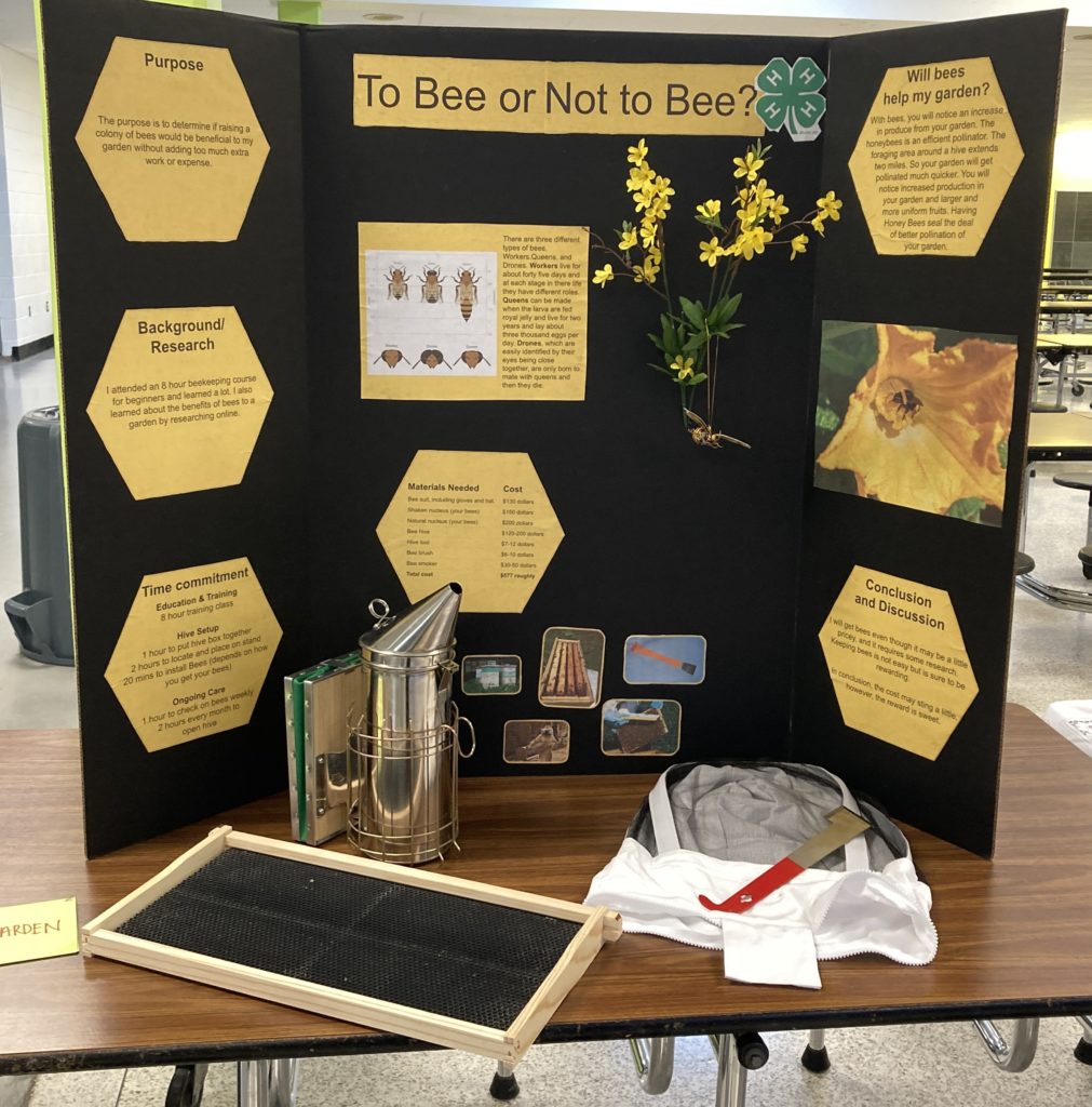 A tri-fold display board showing information about beekeeping. This board was displayed as part of the 4-H interactive exhibit contest.