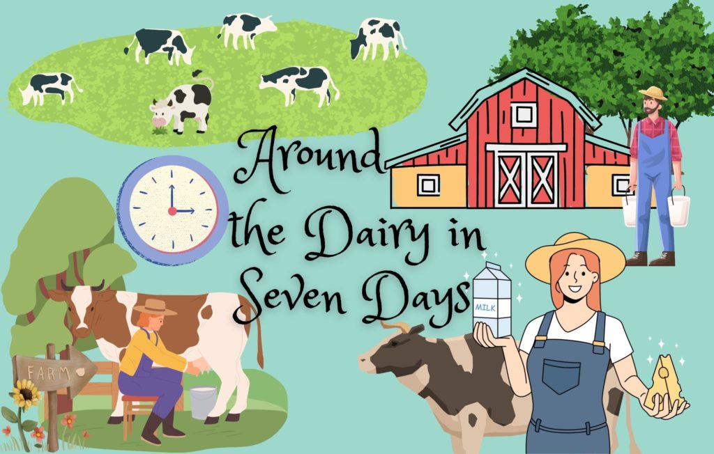 2023 county winning dairy poster by Carolina Shank, showing dairy farms, cows, and farmers, with the words "Around the Dairy in Seven Days."