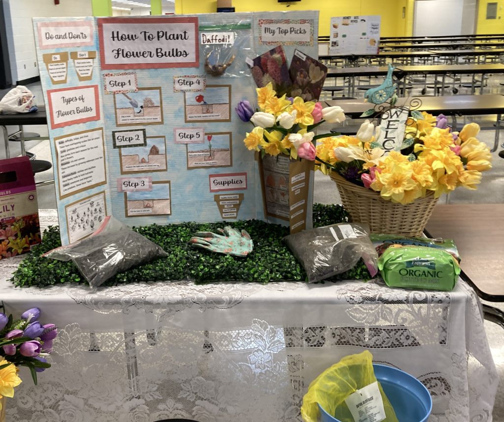 A tri-fold board giving information about planting flowers. This board was created by a youth participating in the 4-H interactive exhibit contest.