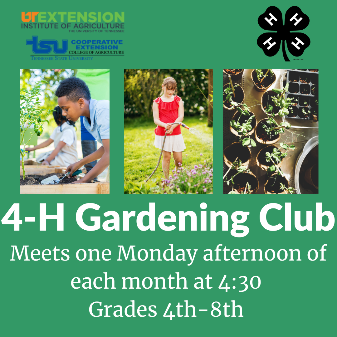 4-H Outdoor Clubs | Hamilton County