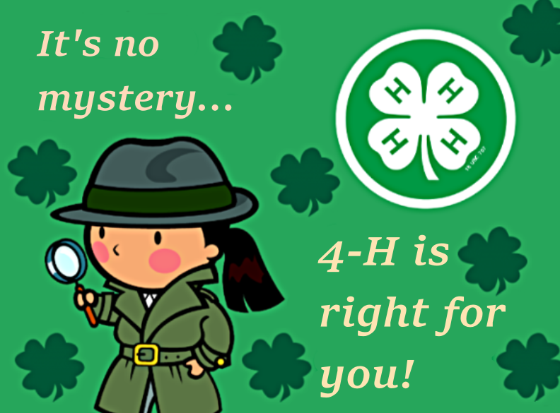 A cartoon character holding a magnifying glass with the phrase It's no mystery. 4-H is right for you