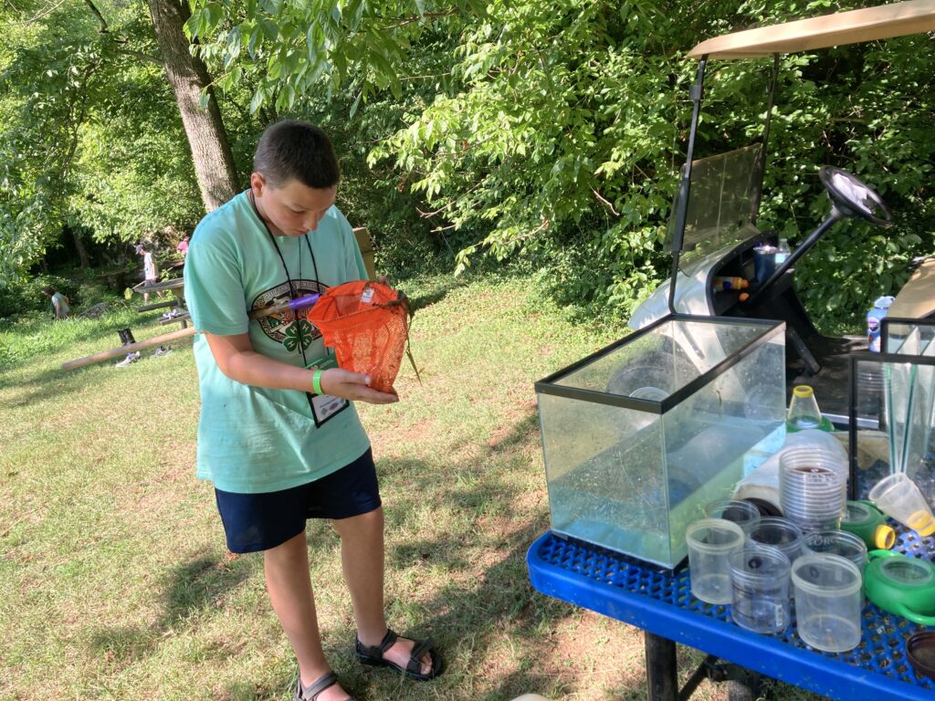 A boy looking at a net of aquatic creatures