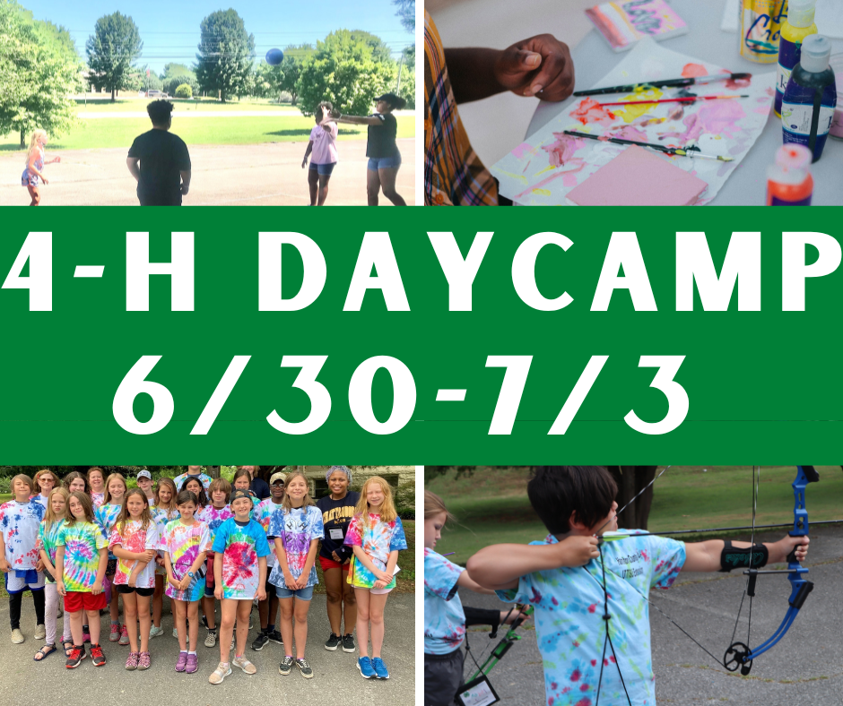 decorative image to illustrate day camp activities