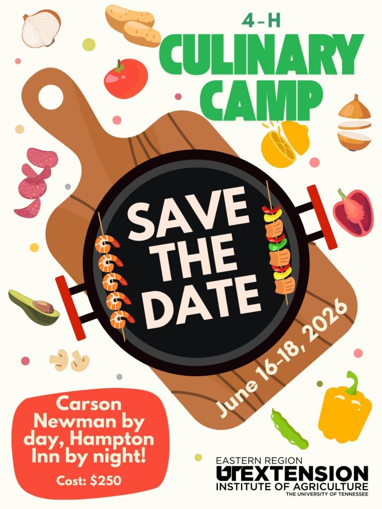 Flyer advertising 4-H Culinary Camp. June 16-18, 2026. Carson Newman by day, Hampton In by night. Cost is $250