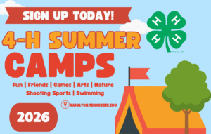 Decorative graphic advertising 4-H camp registration