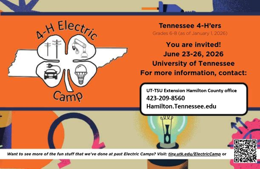 A decorative graphic advertising 4-H Electric camp, June 23-26. Contact Hamilton County Extension Office 423-209-8560 for more information