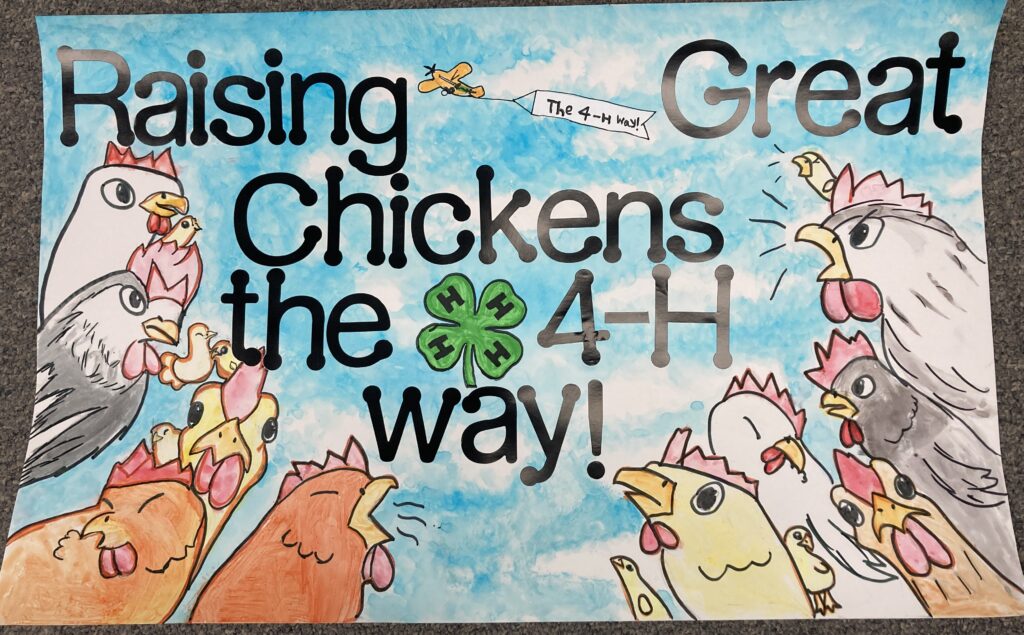 Photo of a poster created for a contest, showing chickens